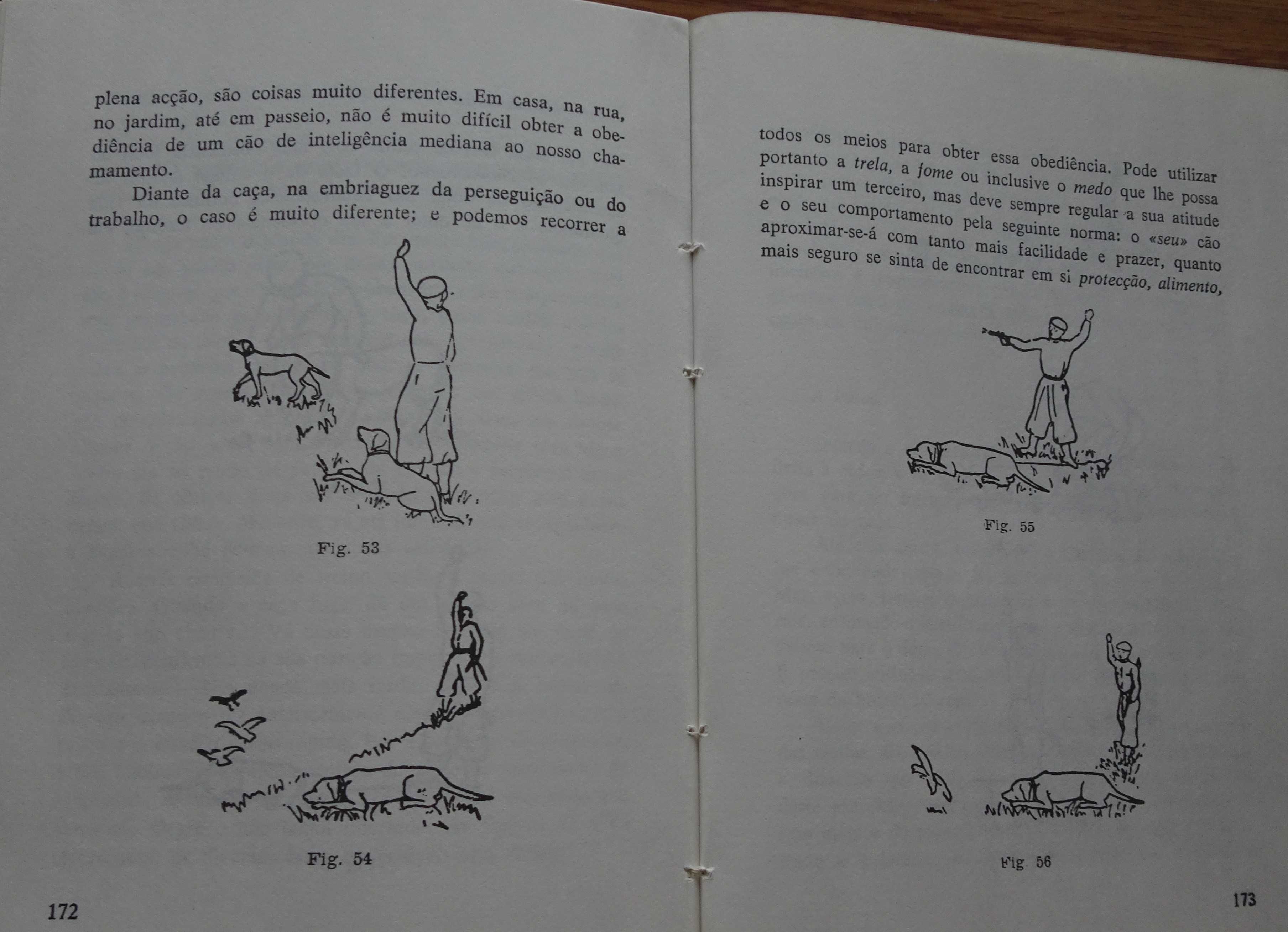 Cães de Caça de Santiago Pons