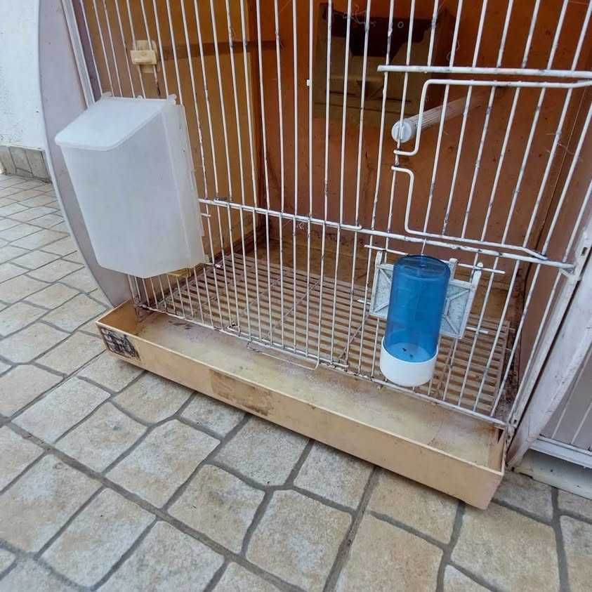 Vendo gaiolas para criação