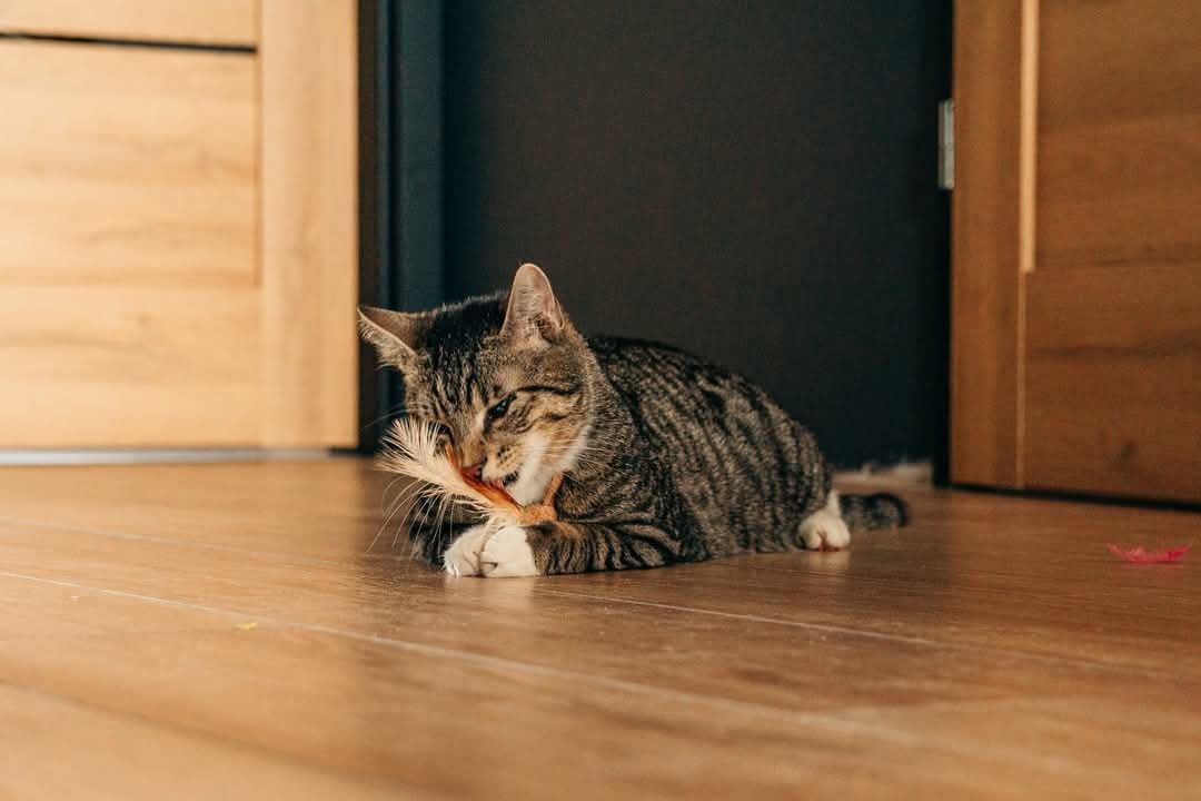 Ktuś? Cuś? – pyta prawie niewidomy Kovuś