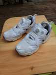 Reebok incta-pamp boost fury 43