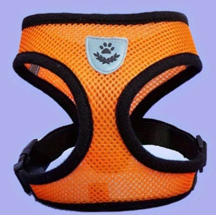 Шлея, жилет, поводок для собак