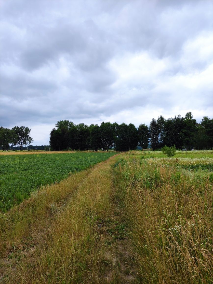 Продаж земельної ділянки