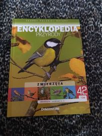 książka o zwierzętach ptakach