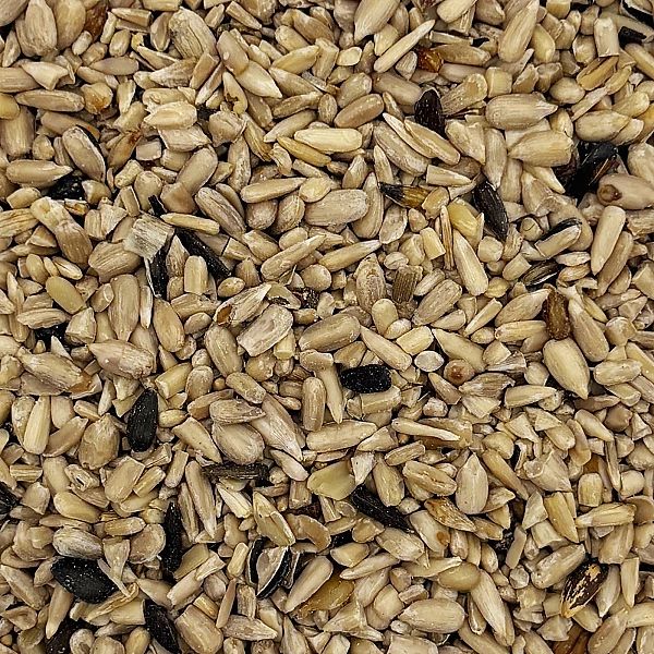 14kg SŁONECZNIK ŁUSKANY 99% ziarno na zimę karma zimowa karmnik Champi