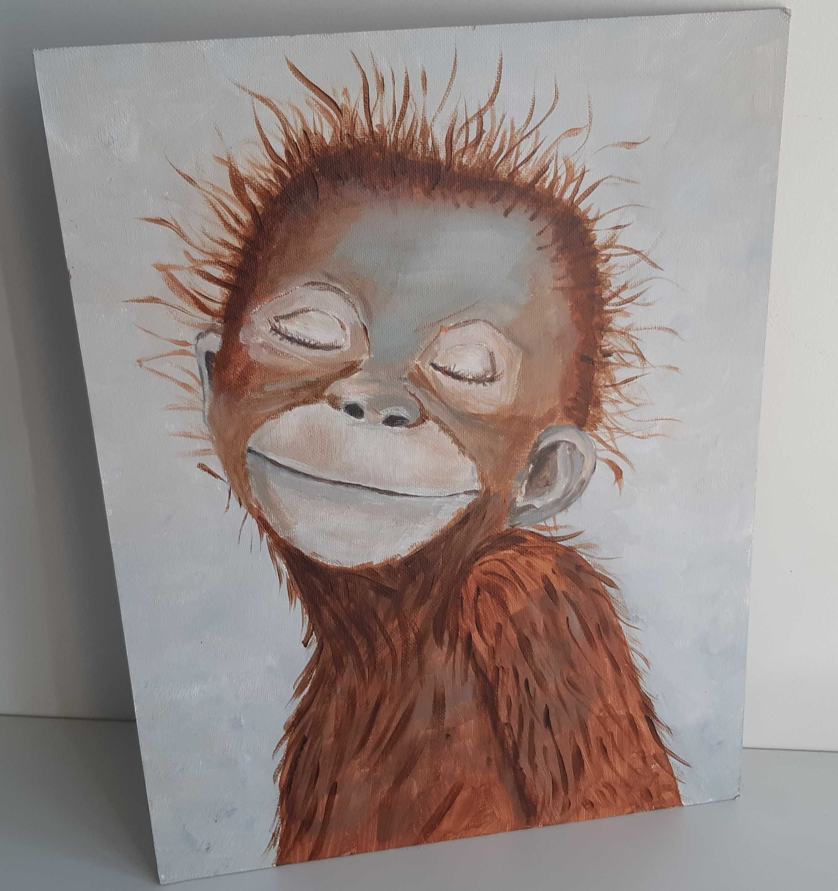 Quadro Macaquinho Pintura Acrílico Original 27x35cm Olga Baptista