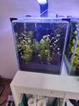 Akwarium kostka krewetkarium prawie nowe zestaw