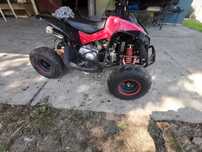 Quad 110 automat zikai renegade