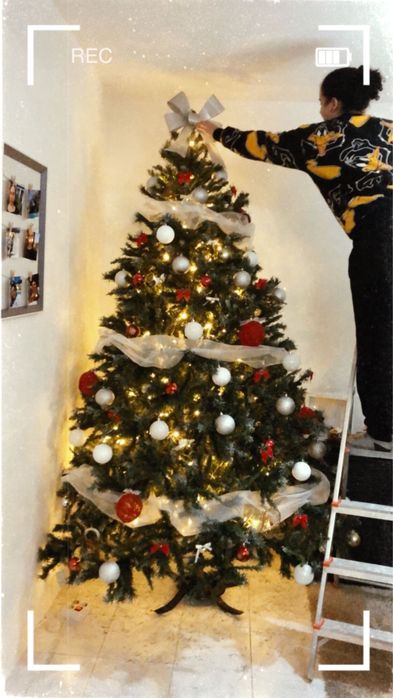 Árvore de Natal 2,50m