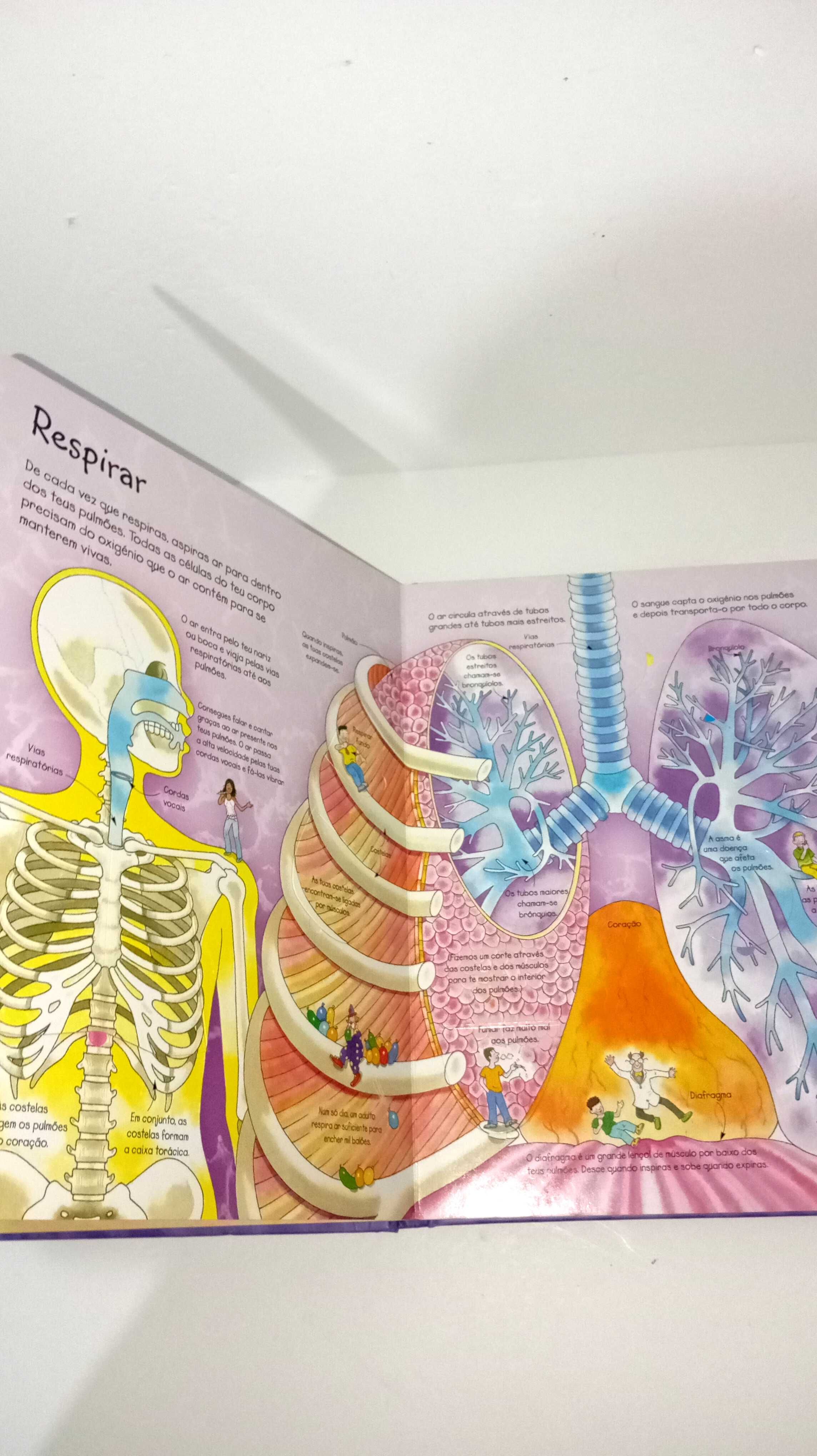 Espreita o teu corpo