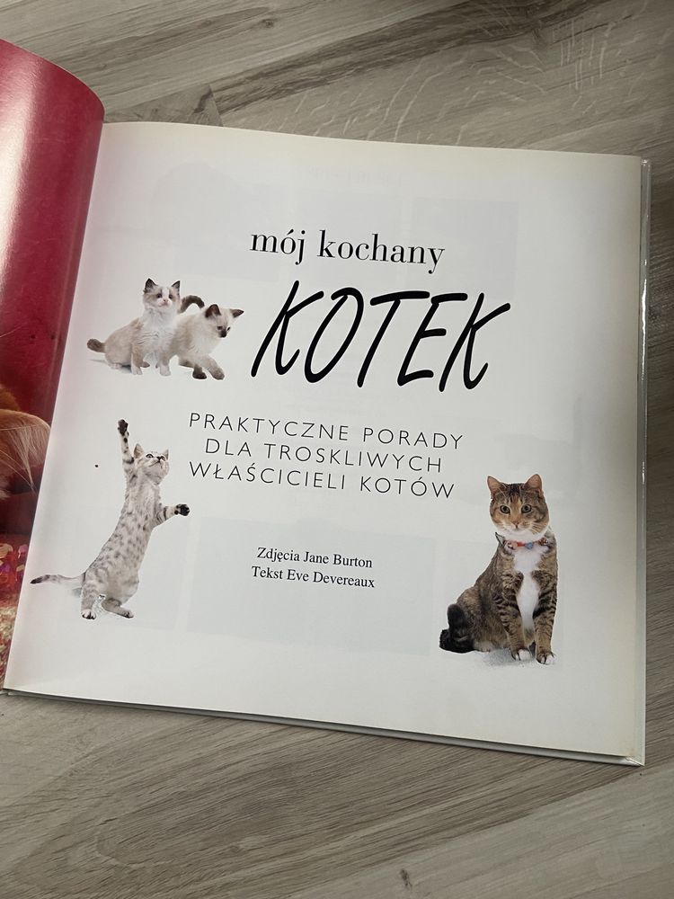 książka dla dzieci moj kochany kotek