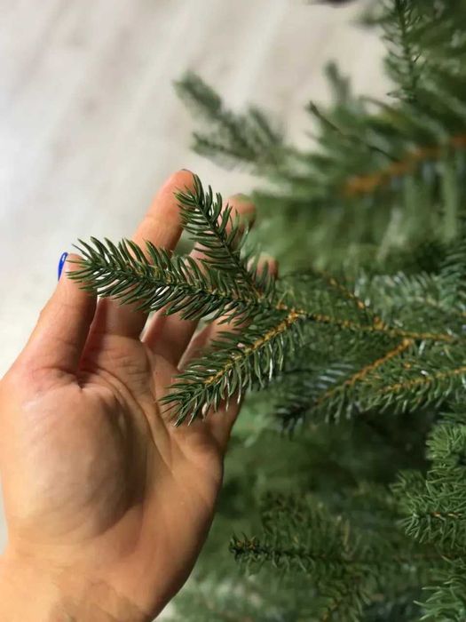 Купити ялинку| Преміум вузька, густа, на металевій підставці| Доставка