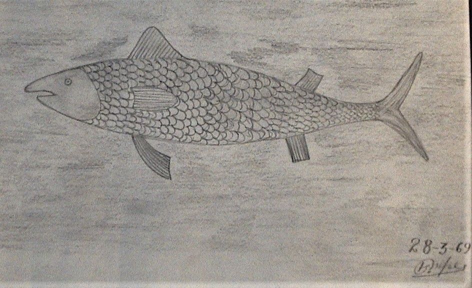 DESENHOS/lápisf-1954/1969-O preço é o de cada um dos 7 desenhos.