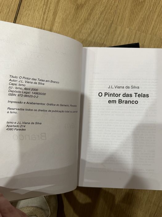 livro O Pintor das Telas em Branco: J.L. Viana da Silva