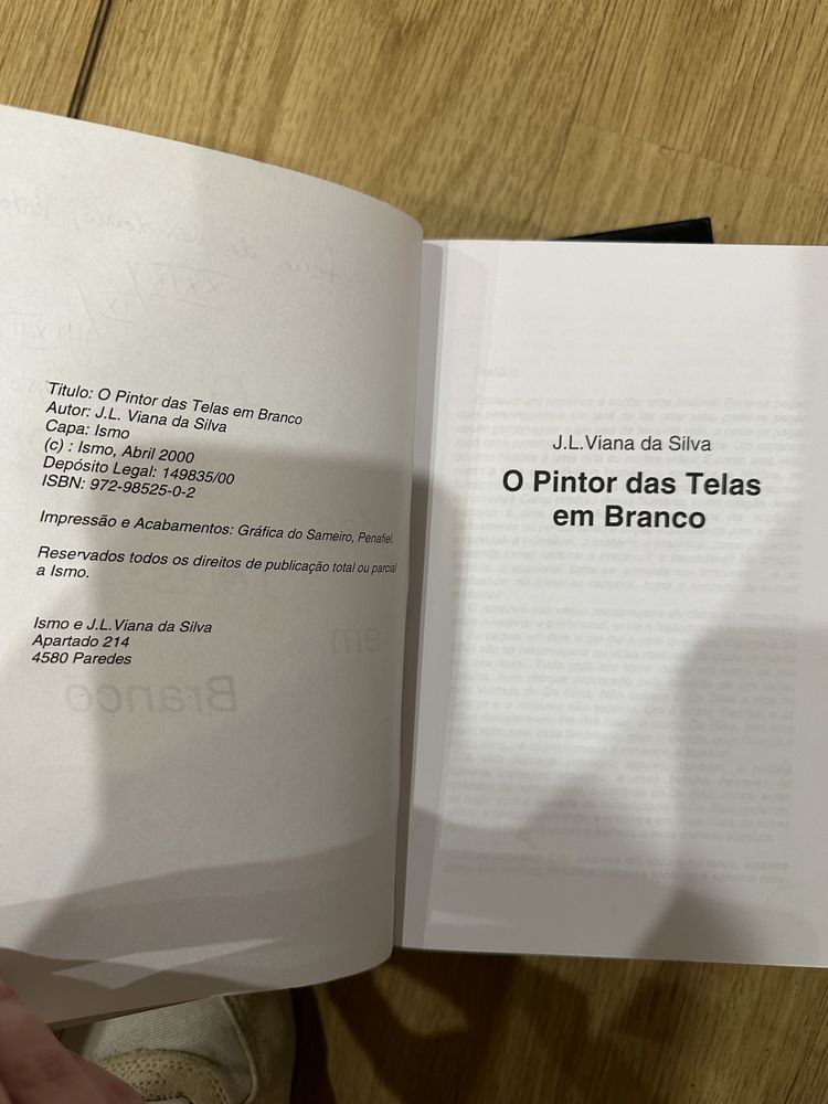 livro O Pintor das Telas em Branco: J.L. Viana da Silva