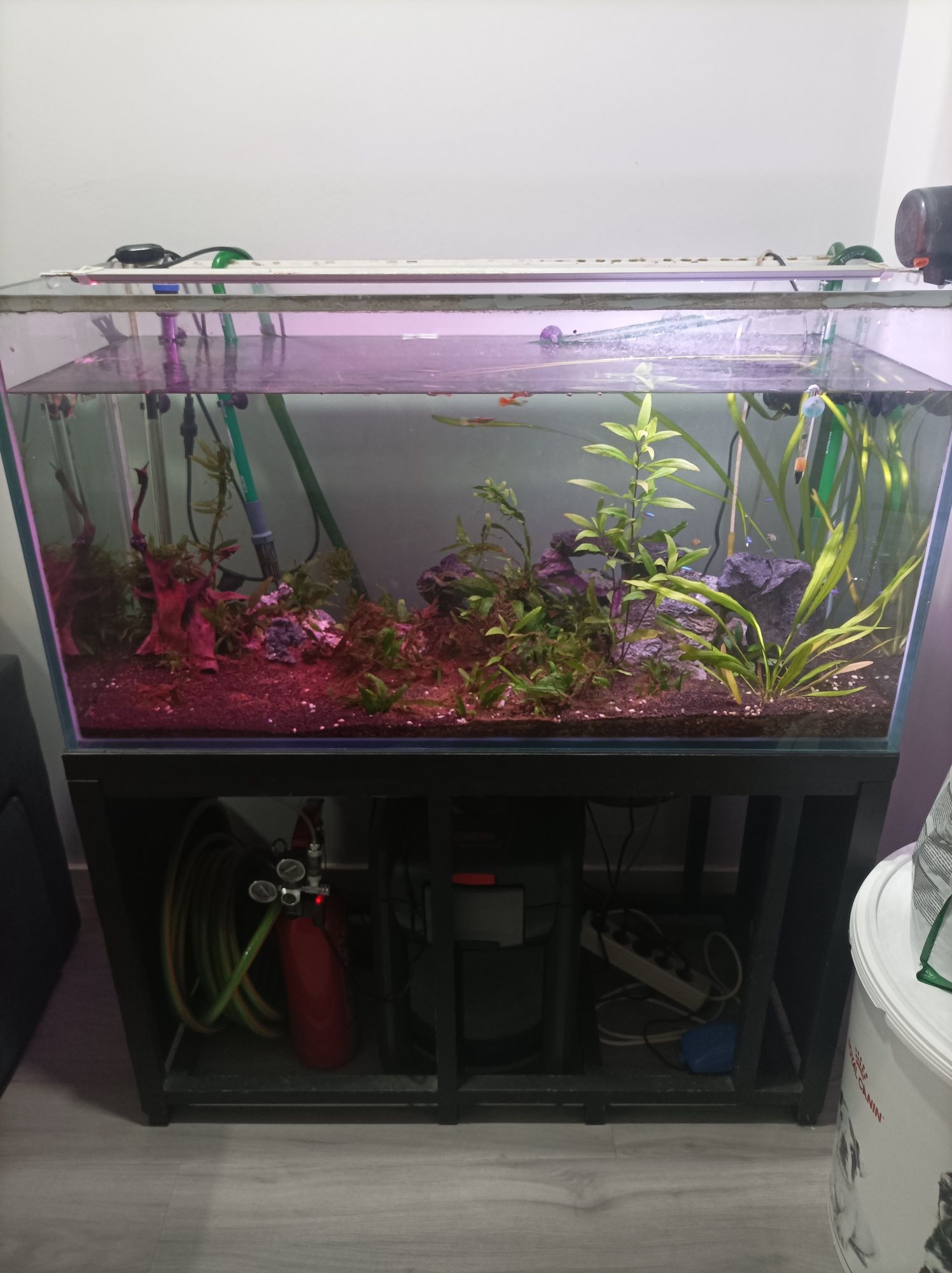 Aquário 200litros com estrutura