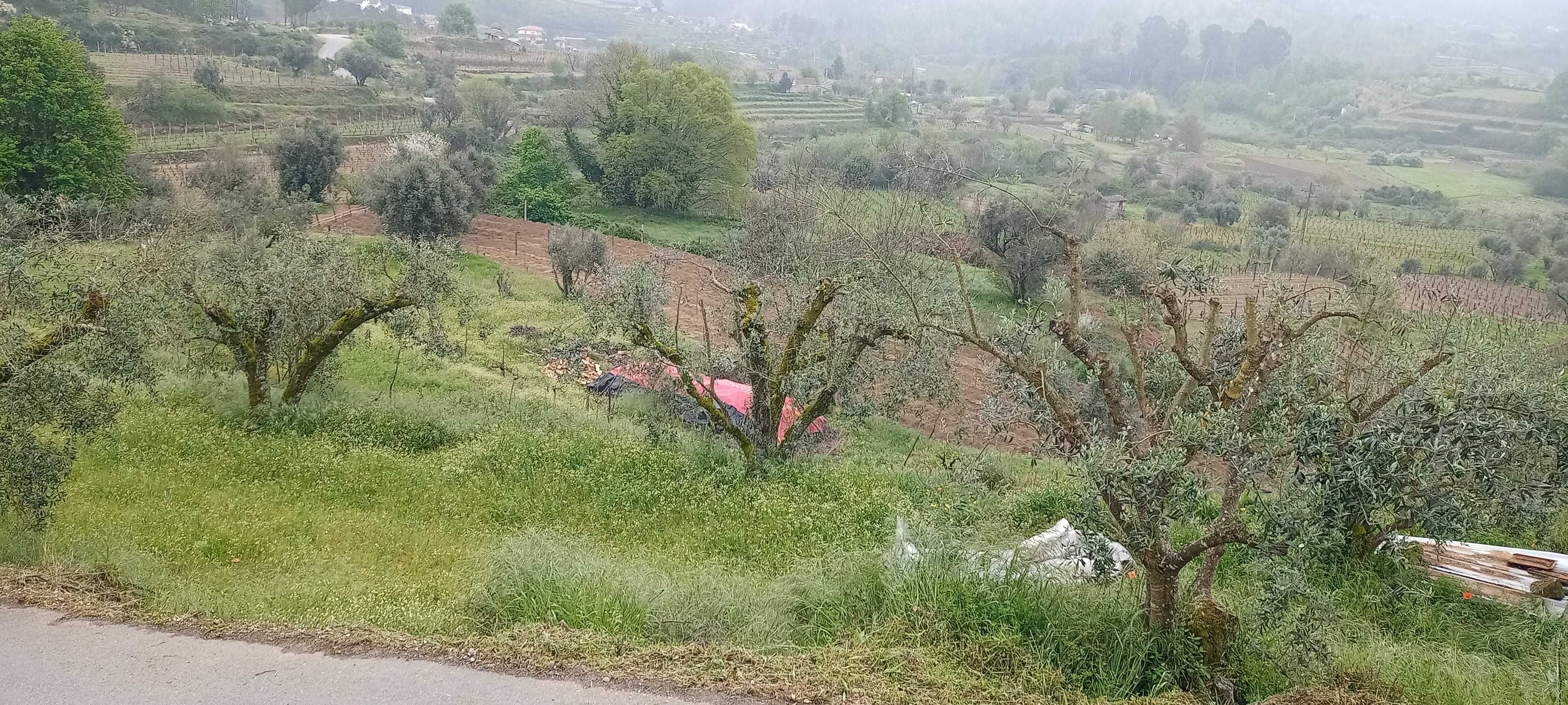 Terreno à venda na Aldeia de Casal Diz, Pindo