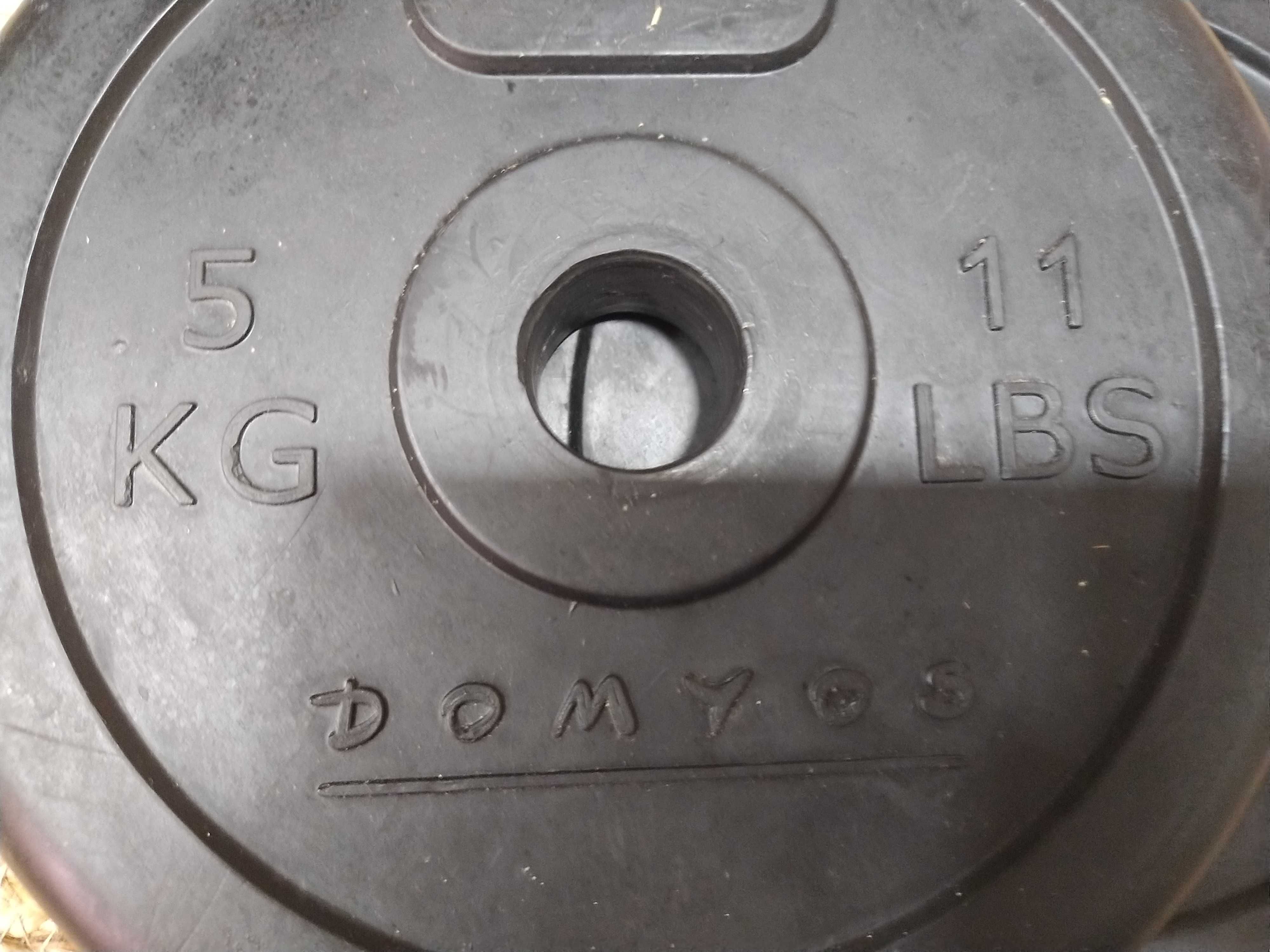 Conjunto: Barra de treino curl com discos de pesos variados