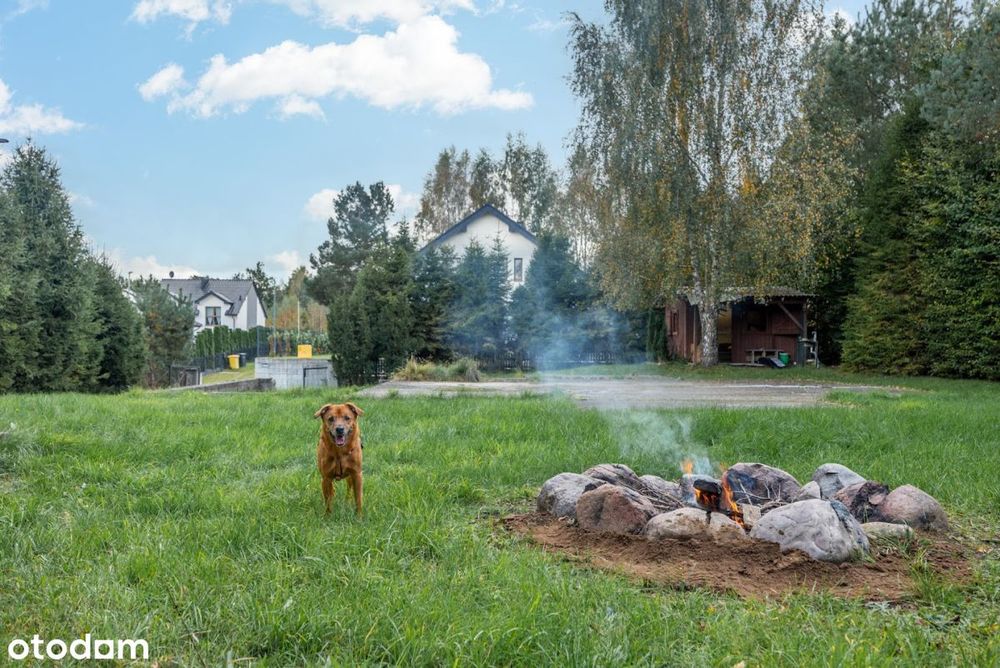 Idealne miejsce na Twój dom - Gowino 997m2