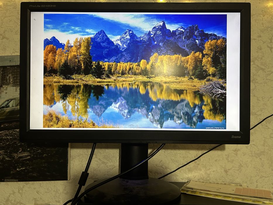 Монітор, Lg, Asus, Ilyama