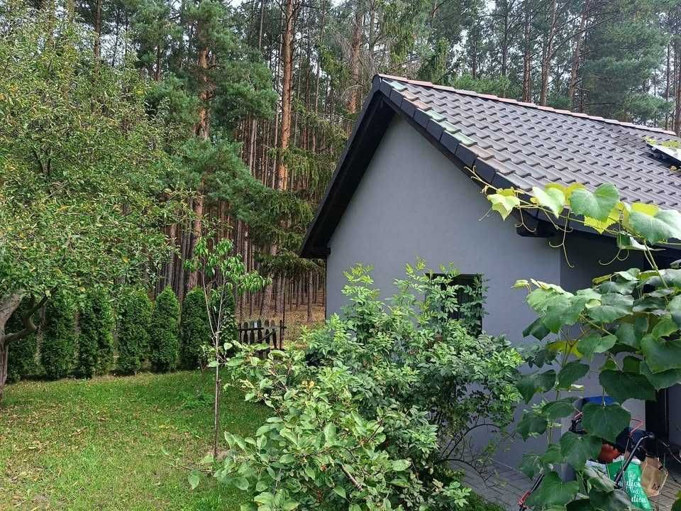 Działka  ROD w środku lasu