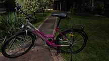 Rower Rauon Luna 26