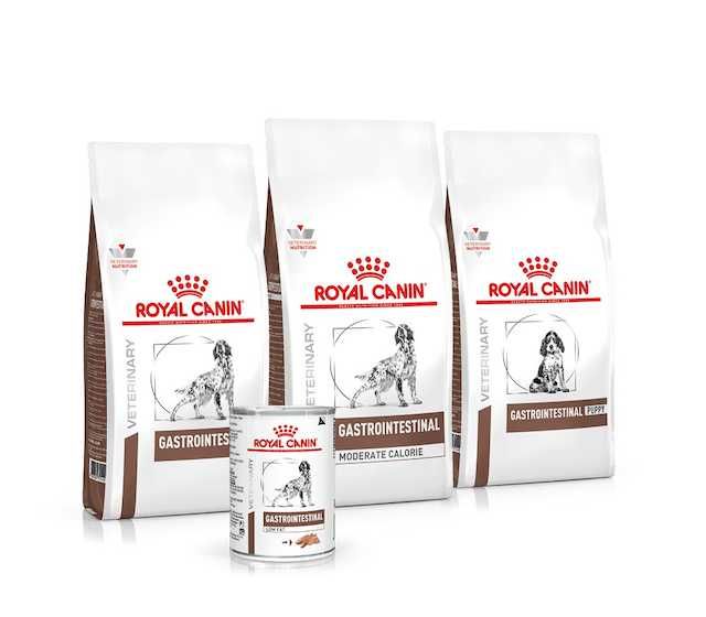 Лечебный сухой и влажный корм Royal Canin для собак и кошек Роял Канин