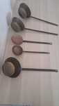 Conjunto de Conchas Antigas