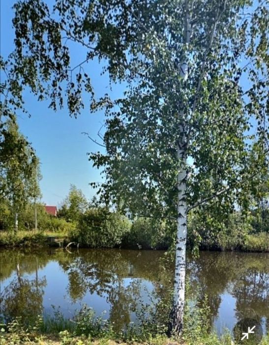 Продається земельна ділянка в дачному кооперативі