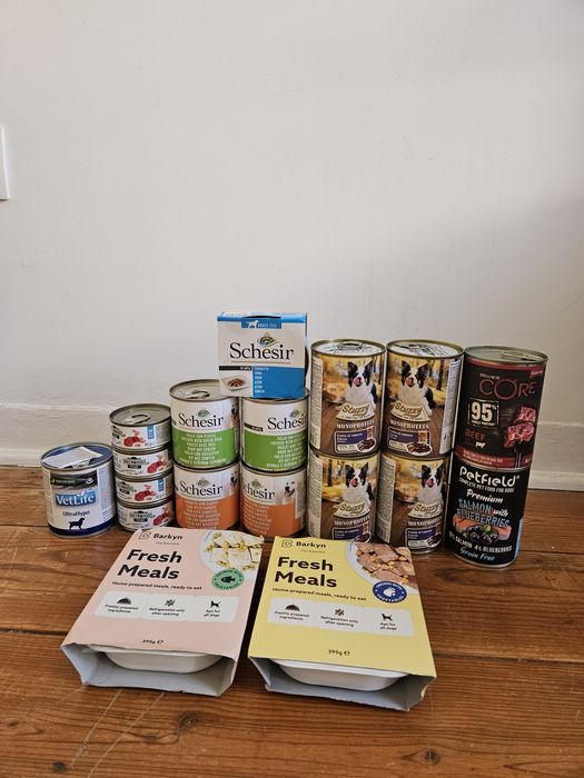 Conjunto de comida para cão