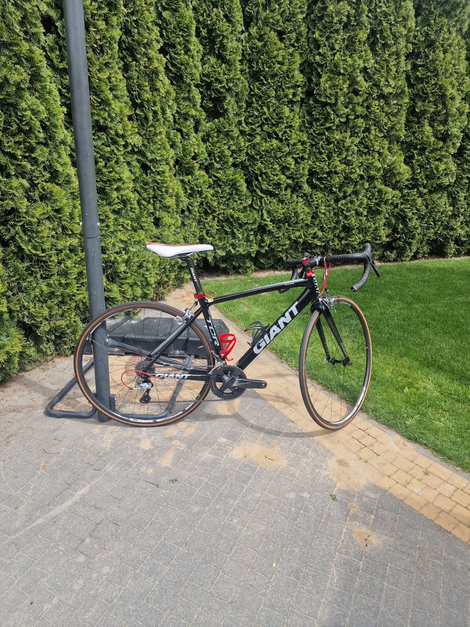 Giant tcr rozmiar S