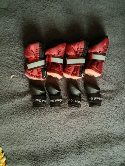 Одежда для маленьких собак.