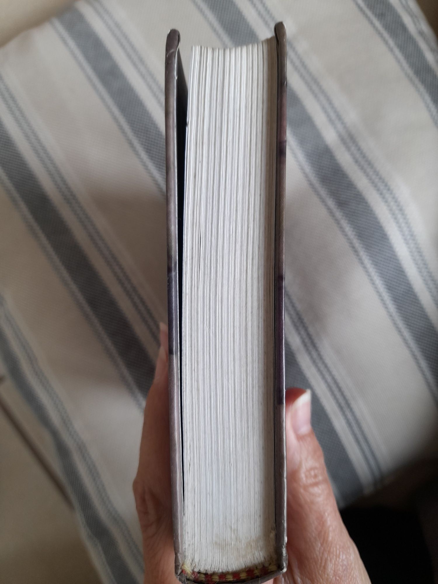 Livro "O deus das pequenas coisas "
