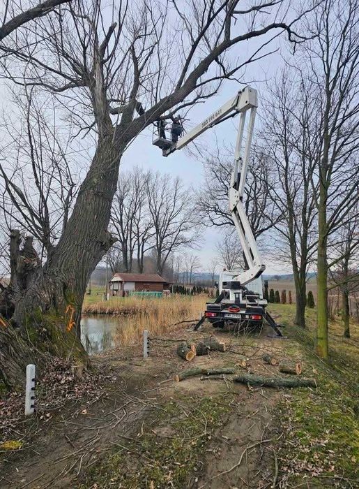 Wycinki przycinki drzew, frezowanie pni, podnośnik koszowy Wrocław