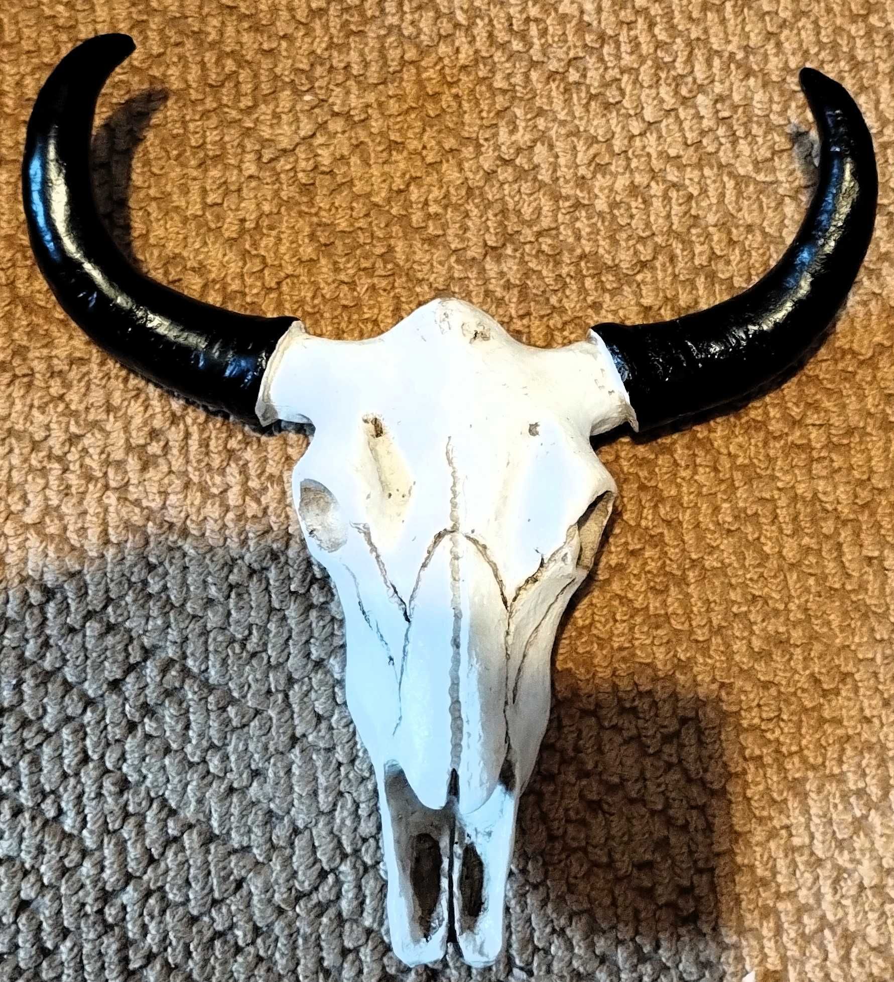 Caveira Cranio Vaca Decorativo