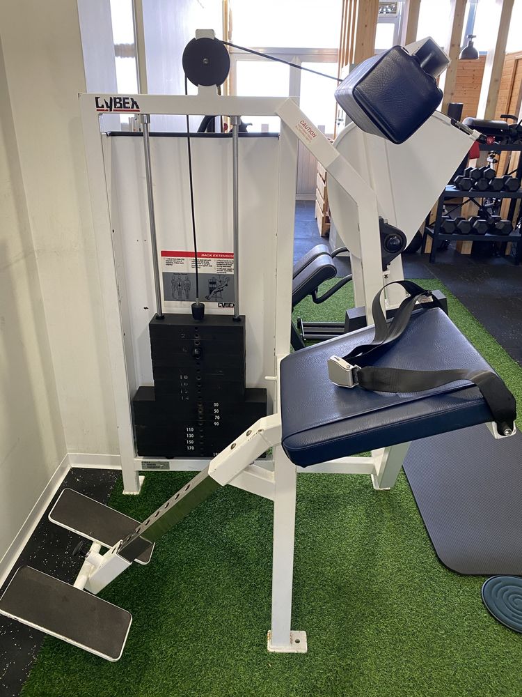 Cybex Classic Lombar