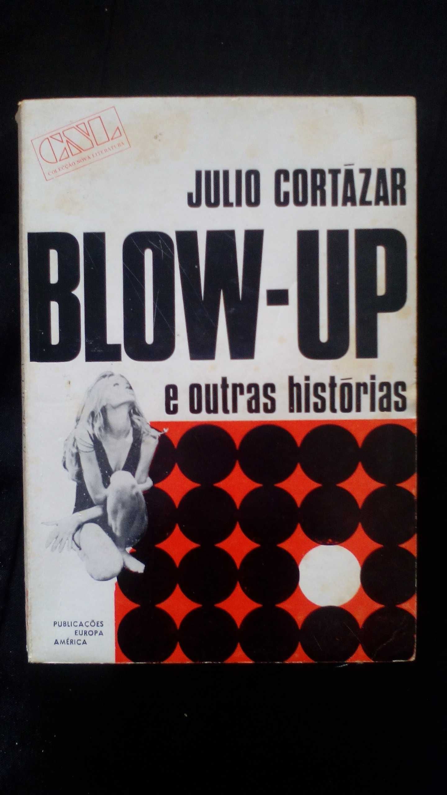 Blow-Up, de Julio Cortázar