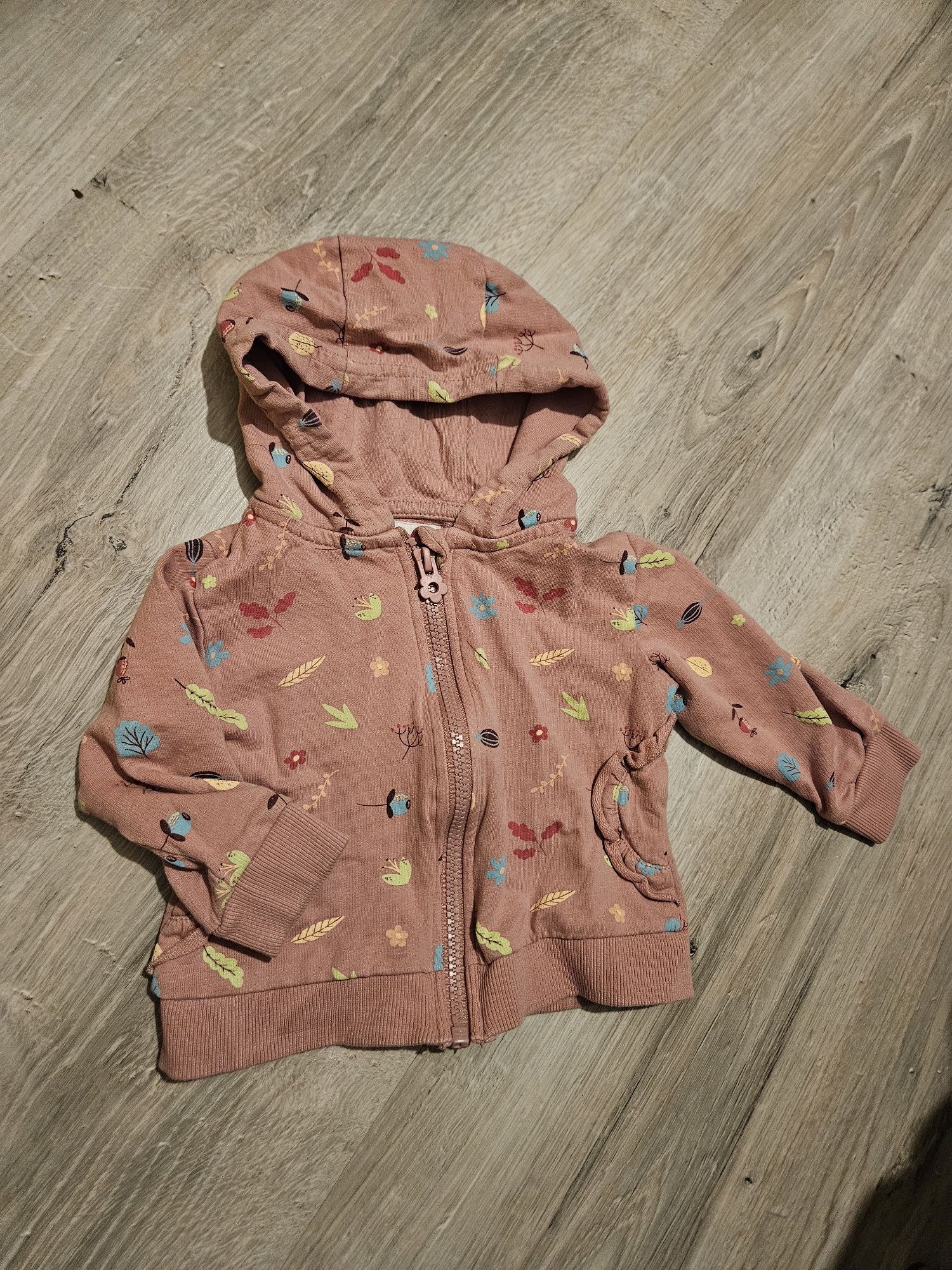 Dziewczęca bluza Fox & Bunny Sinsay. Rozmiar 74