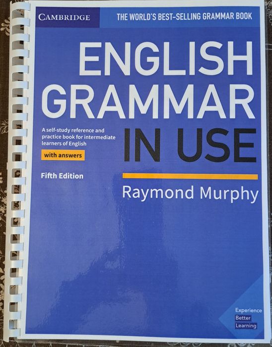 English grammar in use Raymond Murphy