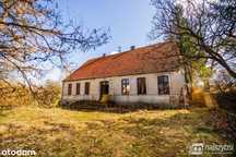 Łabędzie- pastorówka z wielkimi możliwościami