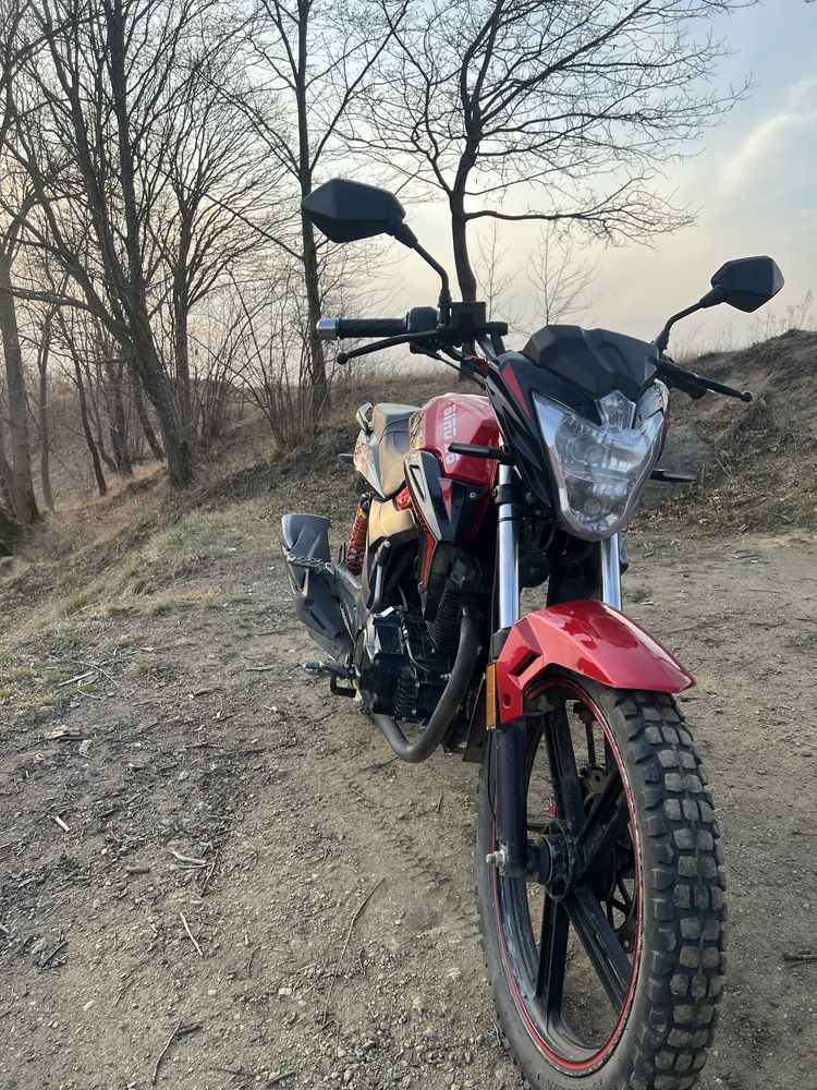 Продам skymoto bird x6