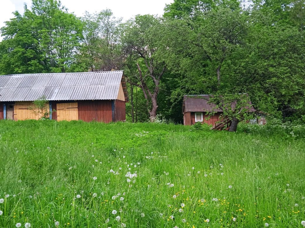 Будинок із земельною ділянкою