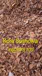 Kora Sosnowa Ogrodowa sortowana świeża kompostowana luz worek 80L