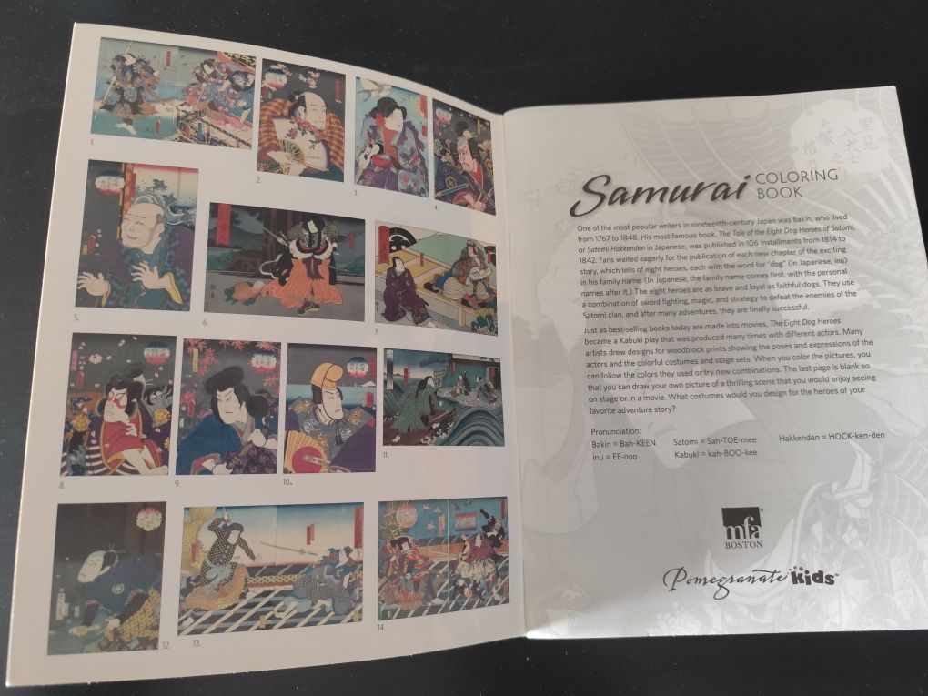 Livro de colorir Samurai