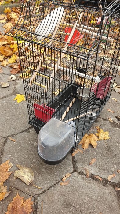 Klatka dla ptaków