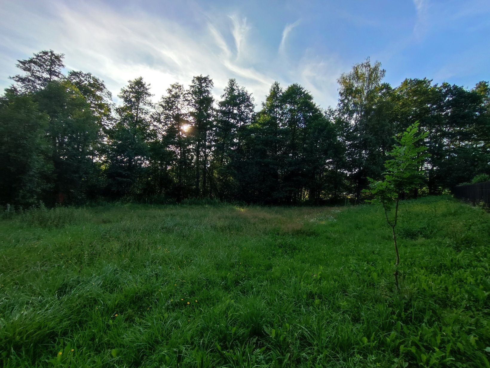 Działka budowlano-leśna, 32 ary, Górki Wielkie