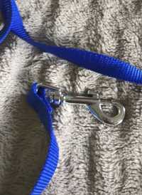 Peitoral + trela azul para cão