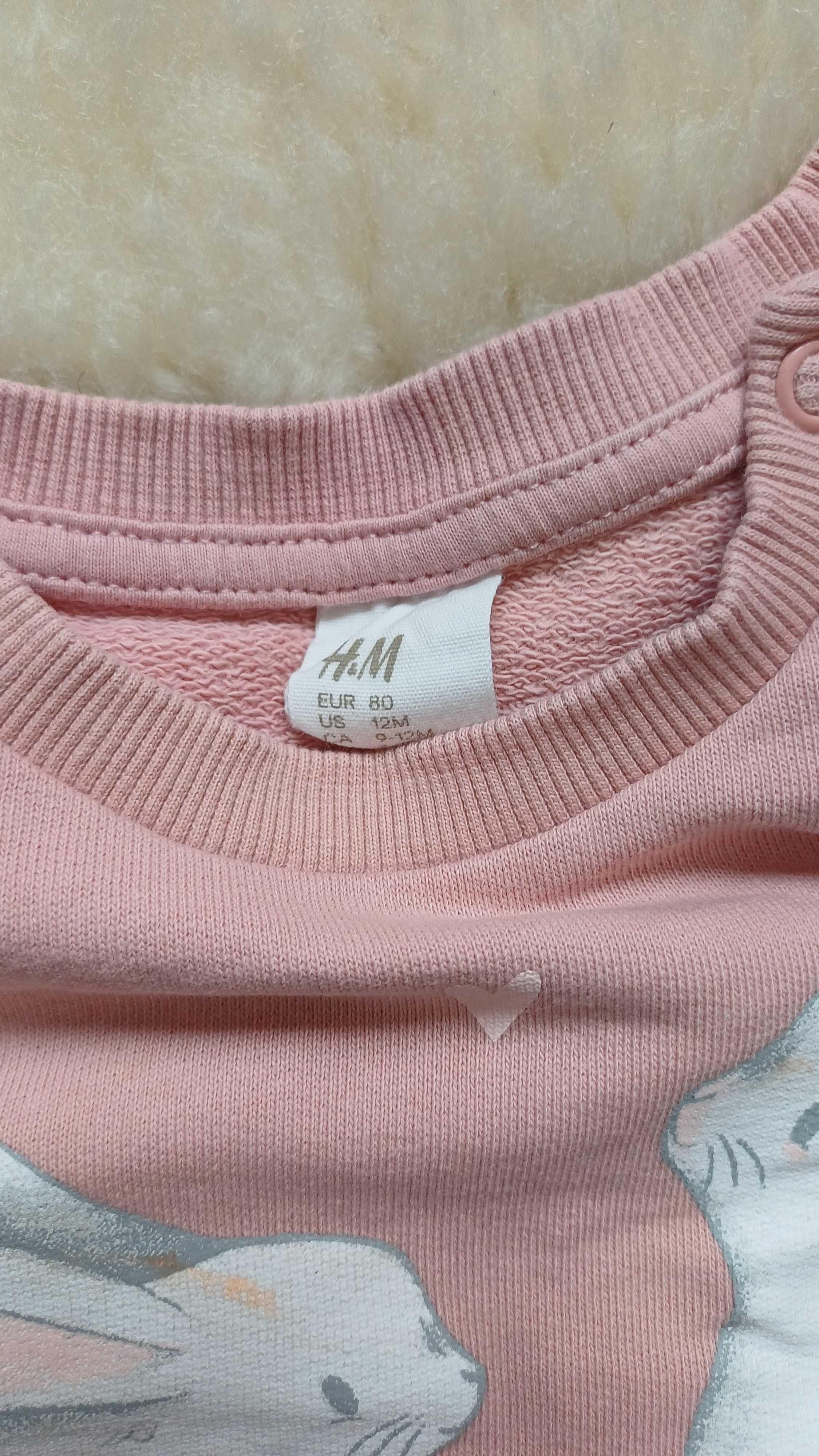 Bluza H&M 80 zajac