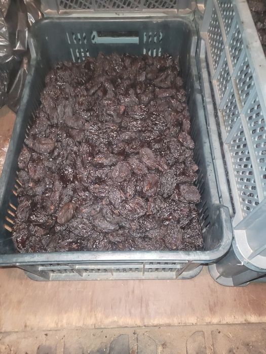 Śliwka wędzona beż pestki