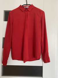 Czerwona koszula