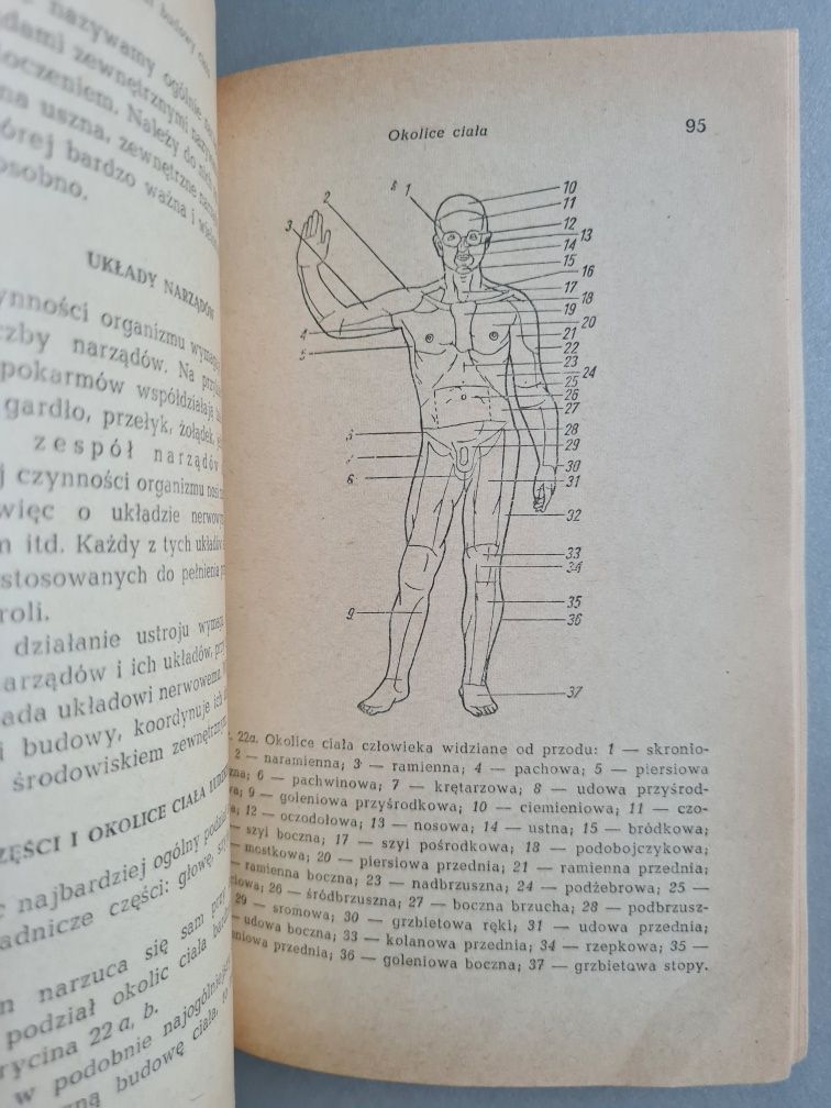 O budowie i czynnościach ciała ludzkiego - Dr B. Zaremba